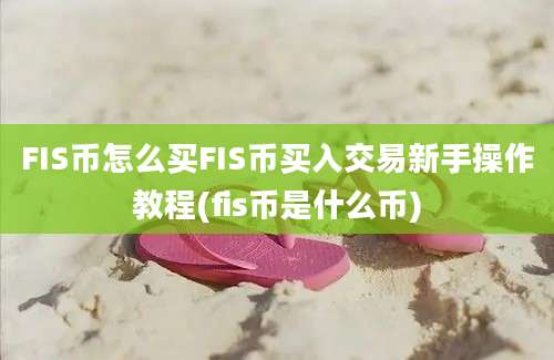 FIS币怎么买FIS币买入交易新手操作教程(fis币是什么币)