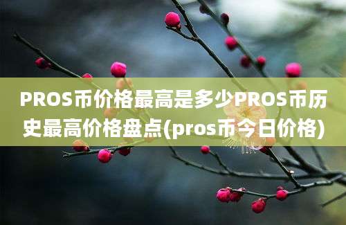 PROS币价格最高是多少PROS币历史最高价格盘点(pros币今日价格)