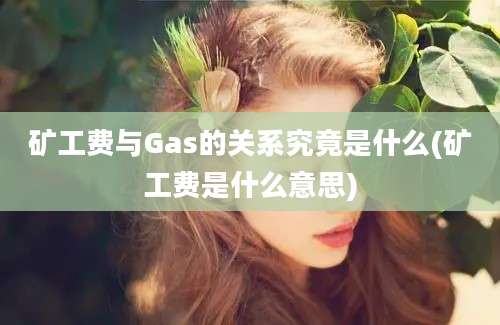 矿工费与Gas的关系究竟是什么(矿工费是什么意思)