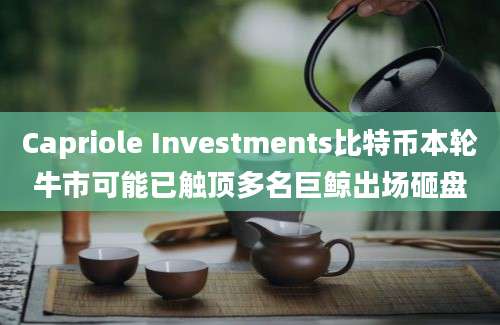 Capriole Investments比特币本轮牛市可能已触顶多名巨鲸出场砸盘