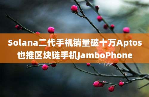 Solana二代手机销量破十万Aptos也推区块链手机JamboPhone