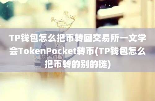 TP钱包怎么把币转回交易所一文学会TokenPocket转币(TP钱包怎么把币转的别的链)