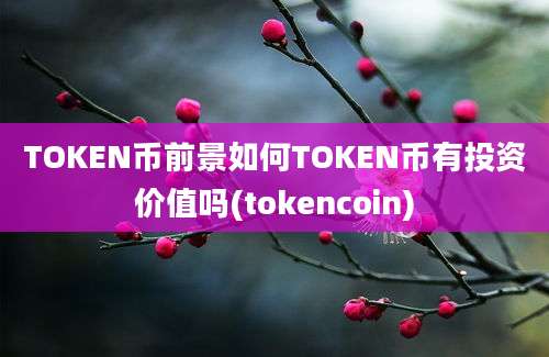 TOKEN币前景如何TOKEN币有投资价值吗(tokencoin)