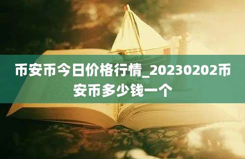 币安币今日价格行情_20230202币安币多少钱一个