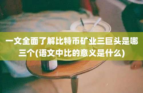 一文全面了解比特币矿业三巨头是哪三个(语文中比的意义是什么)