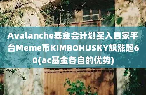 Avalanche基金会计划买入自家平台Meme币KIMBOHUSKY飙涨超60(ac基金各自的优势)