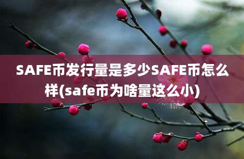 SAFE币发行量是多少SAFE币怎么样(safe币为啥量这么小)