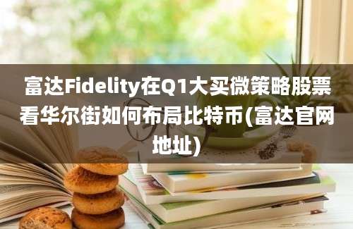 富达Fidelity在Q1大买微策略股票看华尔街如何布局比特币(富达官网地址)