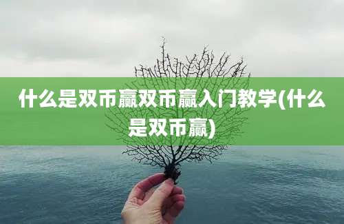 什么是双币赢双币赢入门教学(什么是双币赢)