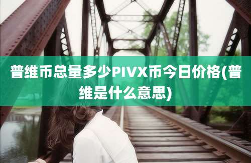 普维币总量多少PIVX币今日价格(普维是什么意思)