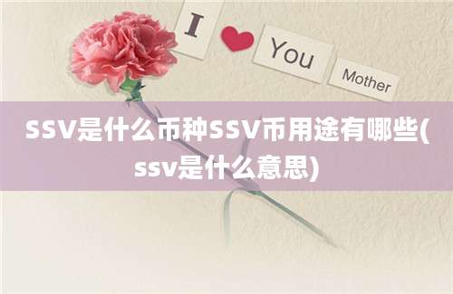 SSV是什么币种SSV币用途有哪些(ssv是什么意思)