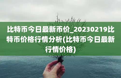 比特币今日最新币价_20230219比特币价格行情分析(比特币今日最新行情价格)