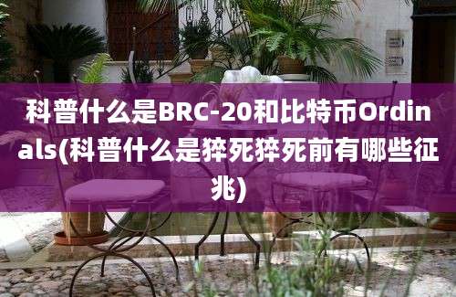 科普什么是BRC-20和比特币Ordinals(科普什么是猝死猝死前有哪些征兆)