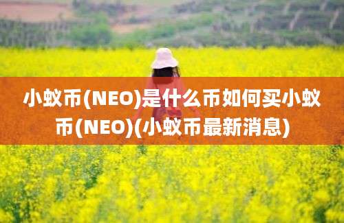 小蚁币(NEO)是什么币如何买小蚁币(NEO)(小蚁币最新消息)