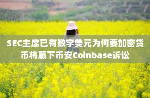 SEC主席已有数字美元为何要加密货币将赢下币安Coinbase诉讼