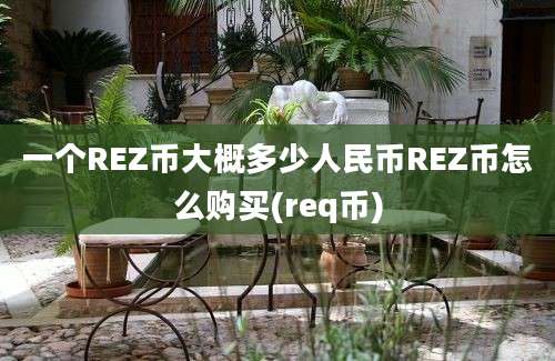 一个REZ币大概多少人民币REZ币怎么购买(req币)