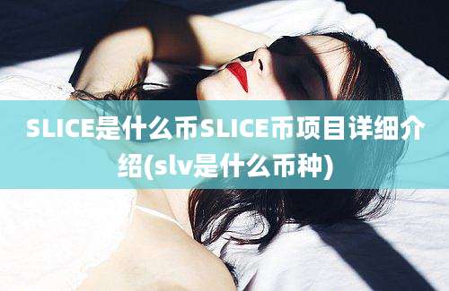 SLICE是什么币SLICE币项目详细介绍(slv是什么币种)