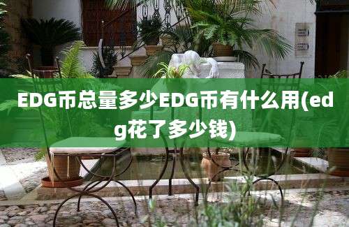 EDG币总量多少EDG币有什么用(edg花了多少钱)