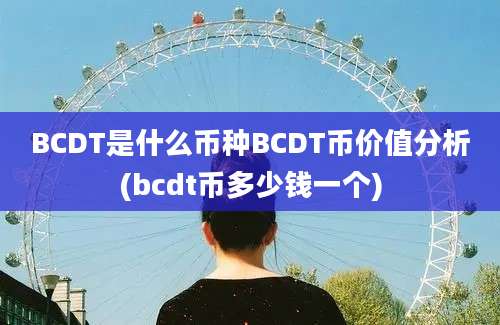 BCDT是什么币种BCDT币价值分析(bcdt币多少钱一个)