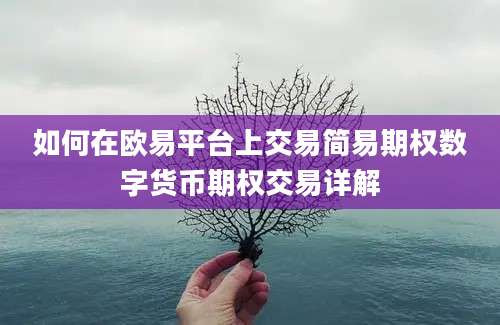 如何在欧易平台上交易简易期权数字货币期权交易详解