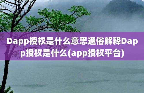 Dapp授权是什么意思通俗解释Dapp授权是什么(app授权平台)