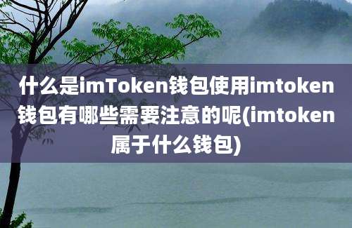 什么是imToken钱包使用imtoken钱包有哪些需要注意的呢(imtoken属于什么钱包)