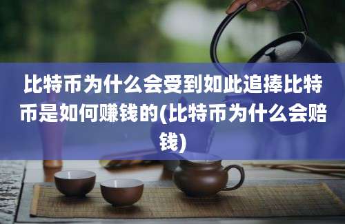 比特币为什么会受到如此追捧比特币是如何赚钱的(比特币为什么会赔钱)