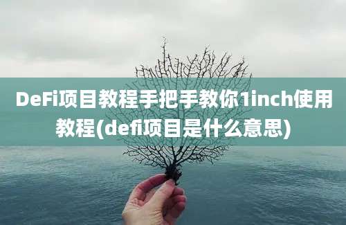 DeFi项目教程手把手教你1inch使用教程(defi项目是什么意思)