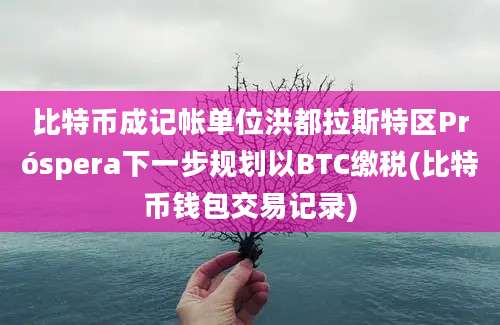 比特币成记帐单位洪都拉斯特区Próspera下一步规划以BTC缴税(比特币钱包交易记录)