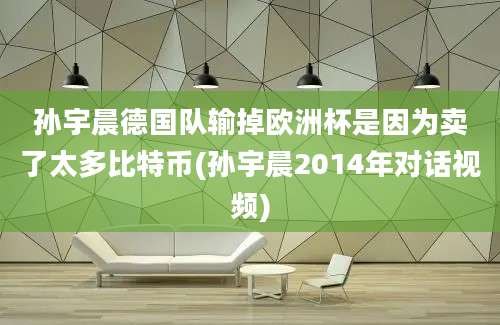 孙宇晨德国队输掉欧洲杯是因为卖了太多比特币(孙宇晨2014年对话视频)