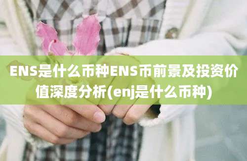 ENS是什么币种ENS币前景及投资价值深度分析(enj是什么币种)