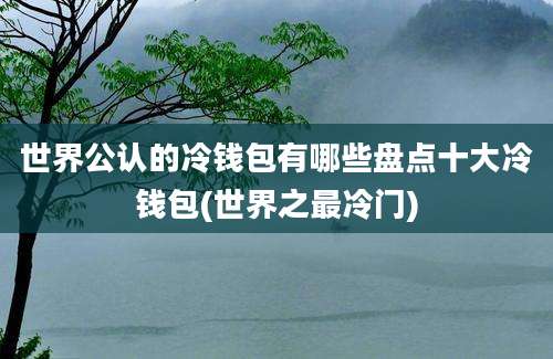 世界公认的冷钱包有哪些盘点十大冷钱包(世界之最冷门)