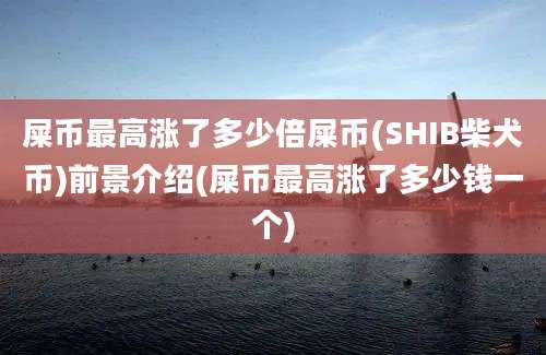 屎币最高涨了多少倍屎币(SHIB柴犬币)前景介绍(屎币最高涨了多少钱一个)