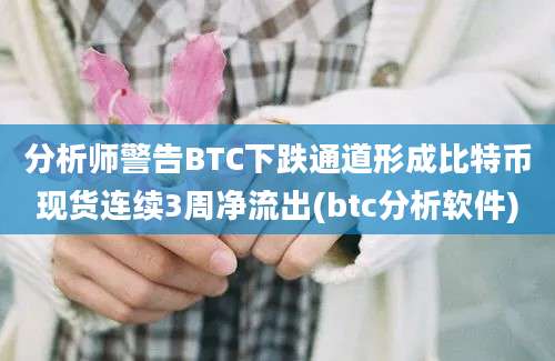 分析师警告BTC下跌通道形成比特币现货连续3周净流出(btc分析软件)