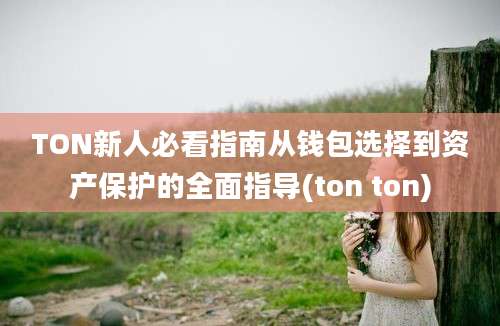 TON新人必看指南从钱包选择到资产保护的全面指导(ton ton)