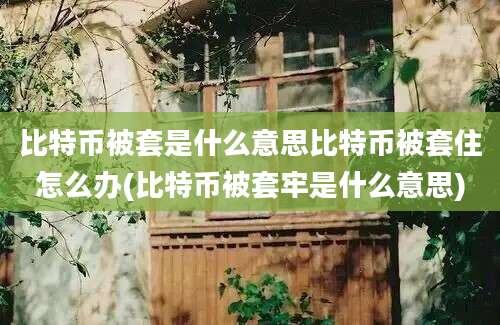 比特币被套是什么意思比特币被套住怎么办(比特币被套牢是什么意思)