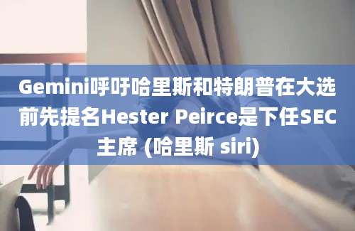 Gemini呼吁哈里斯和特朗普在大选前先提名Hester Peirce是下任SEC主席 (哈里斯 siri)