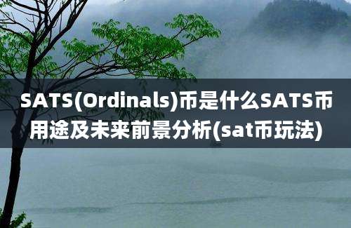 SATS(Ordinals)币是什么SATS币用途及未来前景分析(sat币玩法)