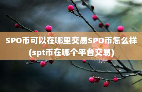 SPO币可以在哪里交易SPO币怎么样(spt币在哪个平台交易)