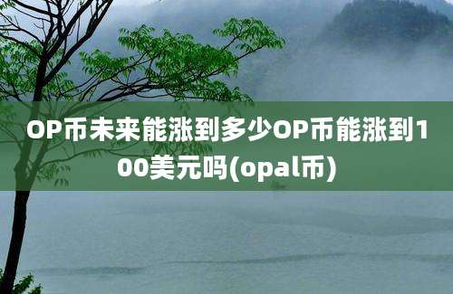 OP币未来能涨到多少OP币能涨到100美元吗(opal币)