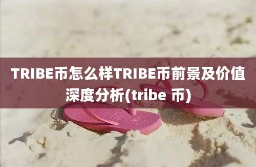 TRIBE币怎么样TRIBE币前景及价值深度分析(tribe 币)