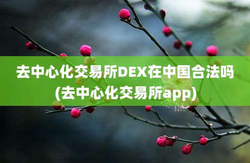 去中心化交易所DEX在中国合法吗(去中心化交易所app)