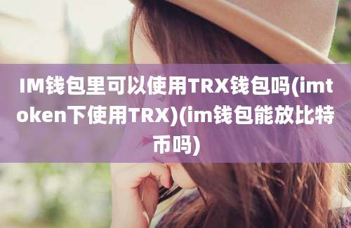 IM钱包里可以使用TRX钱包吗(imtoken下使用TRX)(im钱包能放比特币吗)