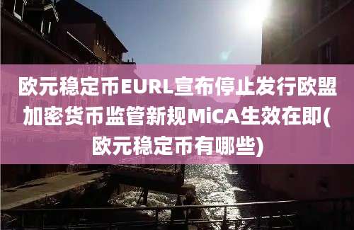 欧元稳定币EURL宣布停止发行欧盟加密货币监管新规MiCA生效在即(欧元稳定币有哪些)