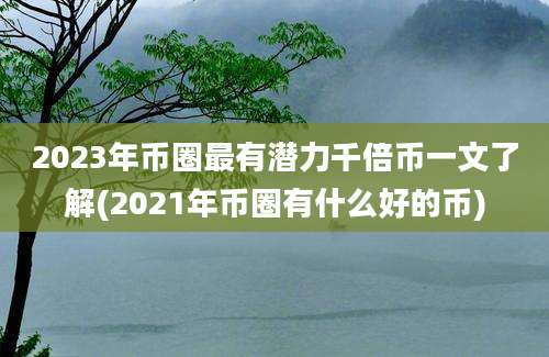 2023年币圈最有潜力千倍币一文了解(2021年币圈有什么好的币)