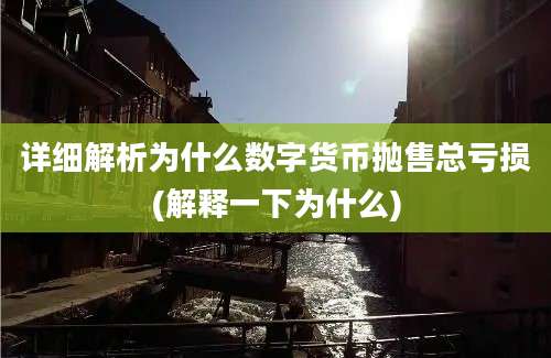 详细解析为什么数字货币抛售总亏损(解释一下为什么)