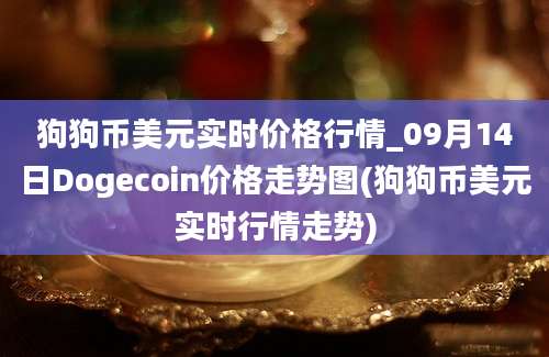 狗狗币美元实时价格行情_09月14日Dogecoin价格走势图(狗狗币美元实时行情走势)