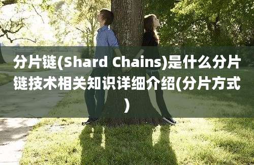 分片链(Shard Chains)是什么分片链技术相关知识详细介绍(分片方式)