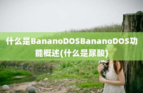 什么是BananoDOSBananoDOS功能概述(什么是尿酸)