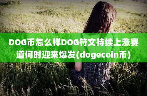 DOG币怎么样DOG符文持续上涨赛道何时迎来爆发(dogecoin币)